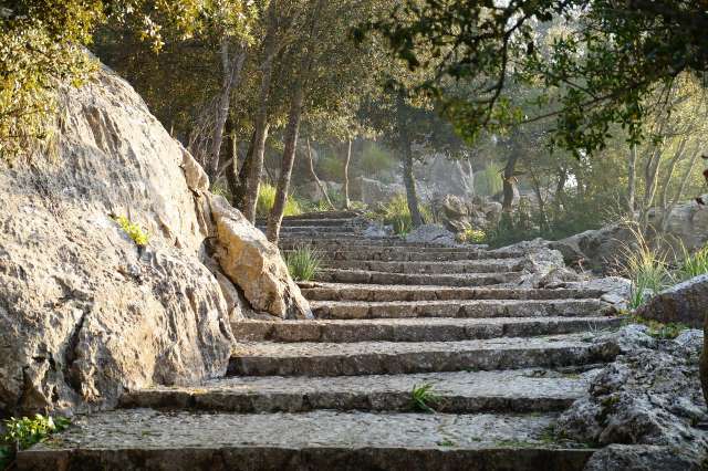 escalier nature