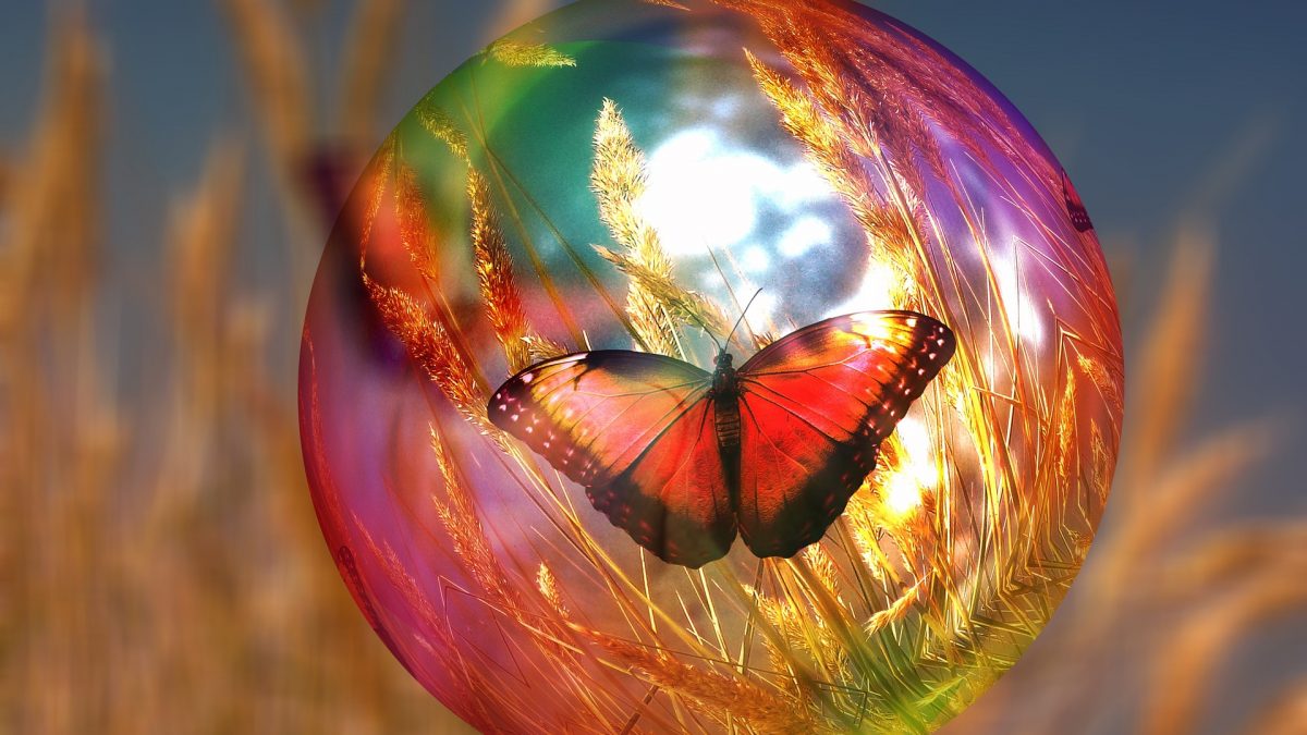 papillon dans une bulle de savon