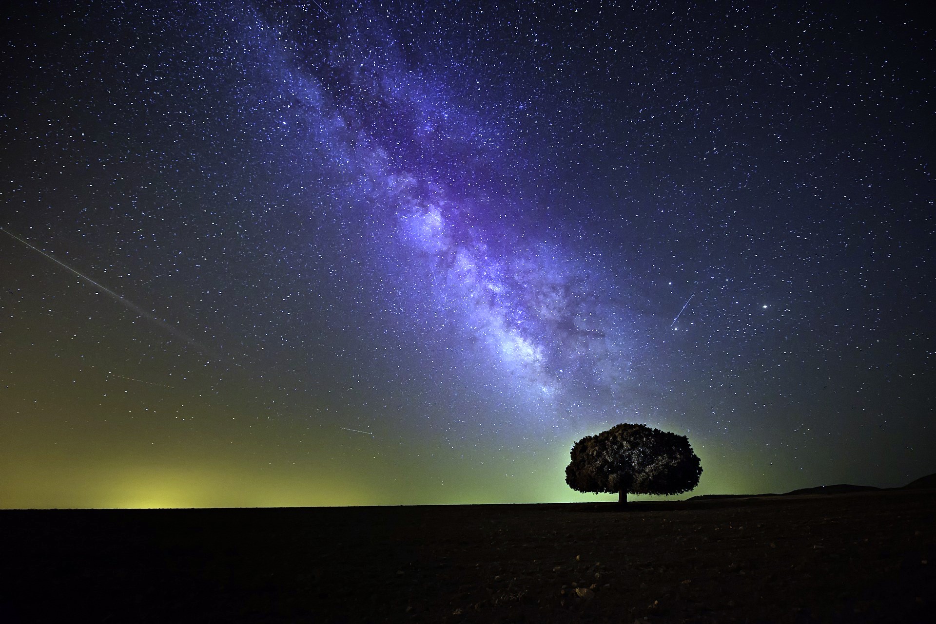 arbre ciel étoile